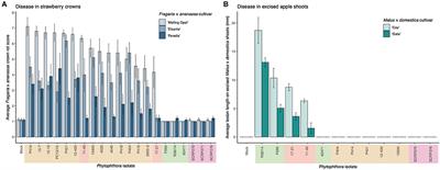 Comparative Analysis of Host-Associated Variation in Phytophthora cactorum